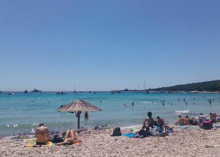 Zdenka Savar-maslina Appartement