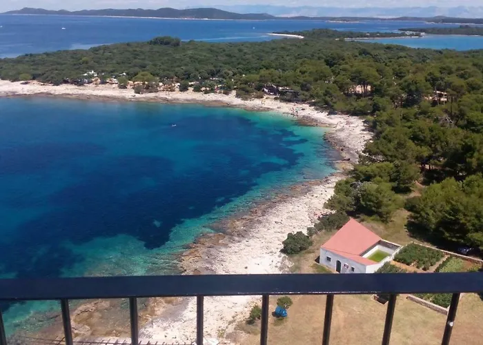 Zdenka Savar-maslina