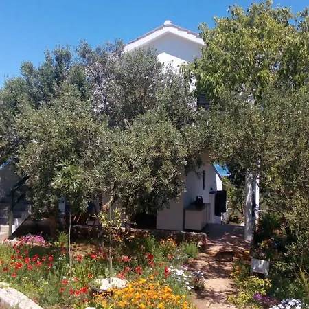 Lägenhet Zdenka Savar-maslina *